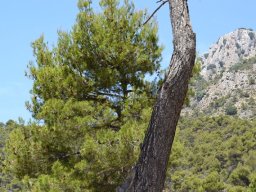 Valle de Leiva-Perdiz 2010